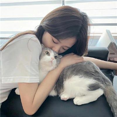 鞋猫剑客